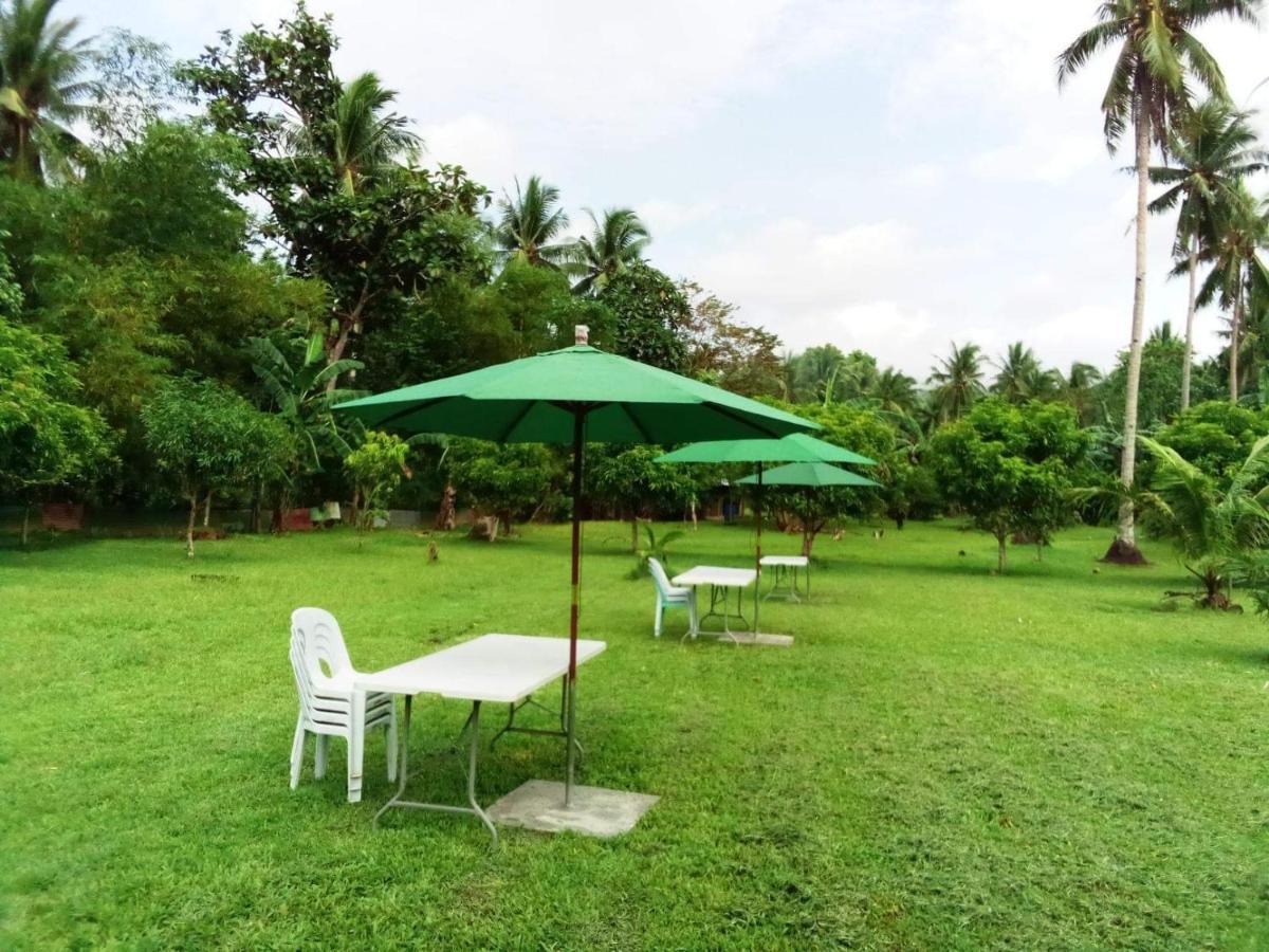 Dreamink Farm Og Myl'S Place Sorsogon Exterior foto